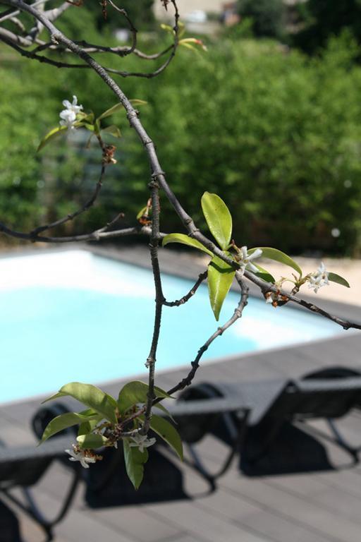 Les Centaurines Bed and Breakfast Saint-Siffret Buitenkant foto
